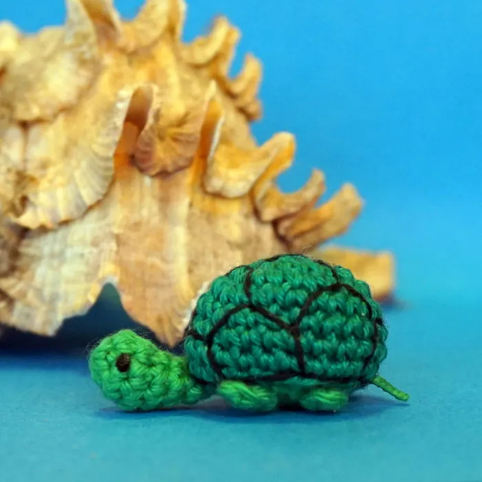Turtle