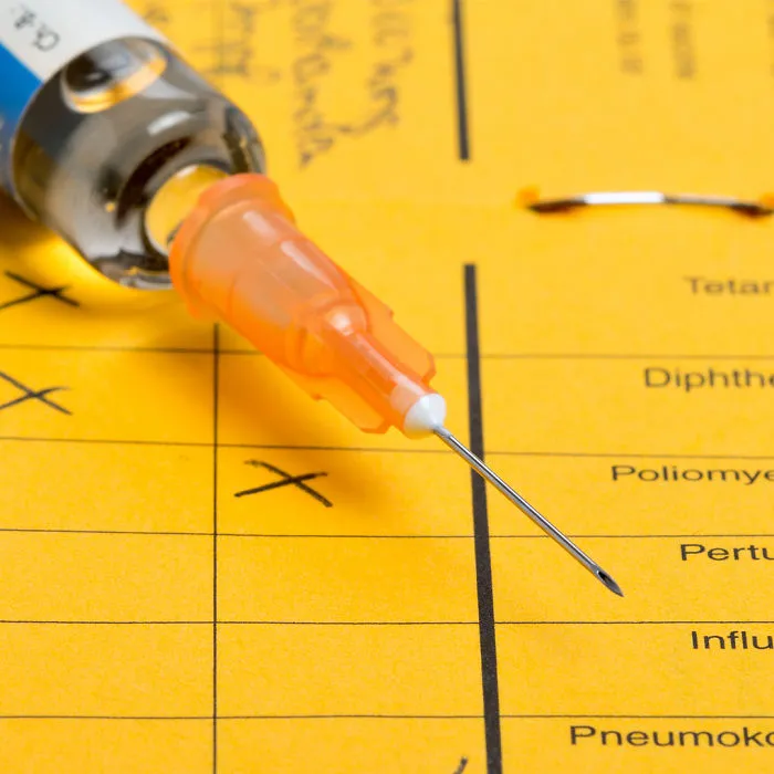 The Importance Of Yellow Fever Vaccination To Travellers