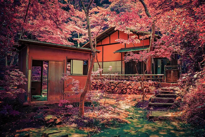 Tengoku E No Hashi II