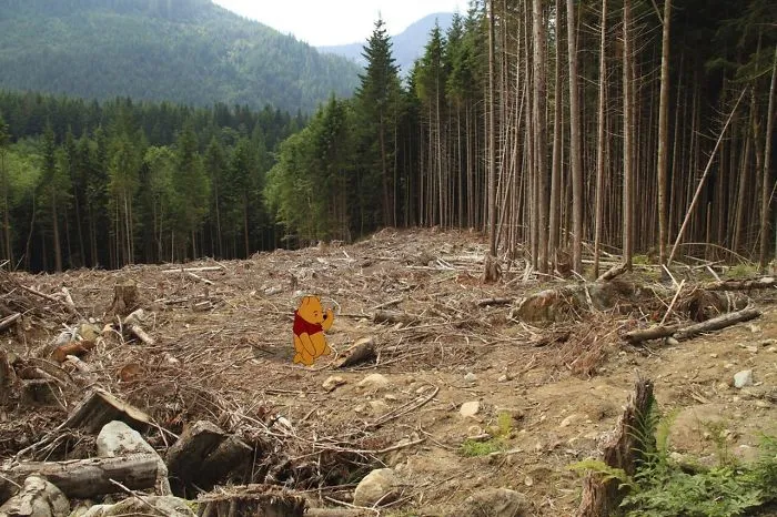This Artist Created Unhappy Endings To Disney Movies, And The Result Will Ruin Your Childhood