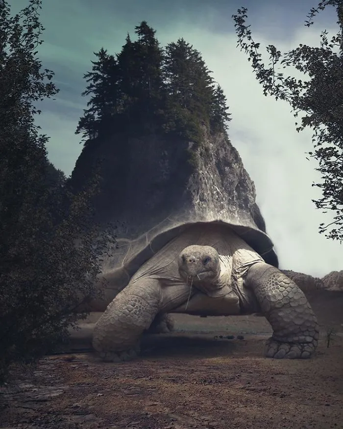 Artist Creates Surreal Landscapes That Balances Between Nature And Another Dimension