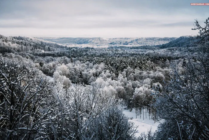 Valley In Sigulda