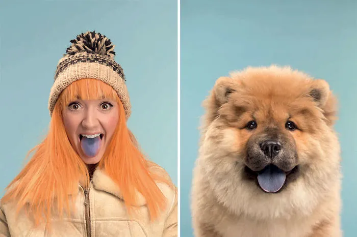 Monica & Reggie (Chow Chow)