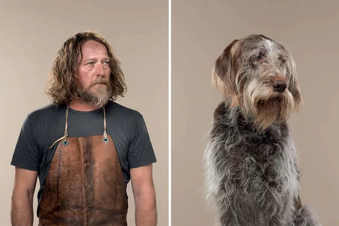 Harry & Hattie (Spinone italiano)
