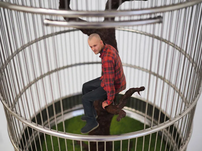 Comfortable Captivity
