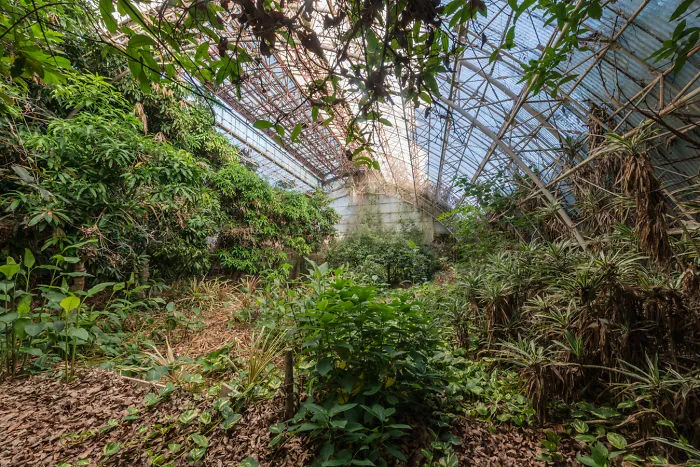 Abandoned Theme Park