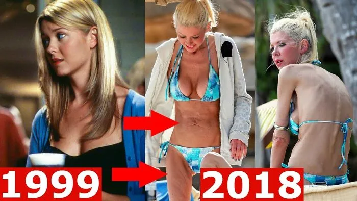 American Pie (1999) Cast: Then And Now ★ 2018