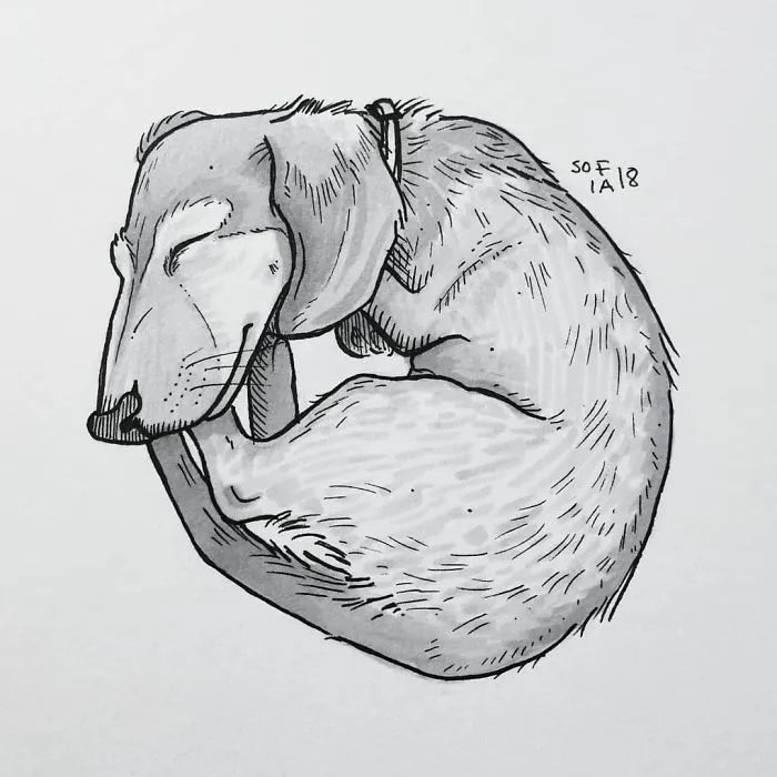 The Tiniest Dachshund.