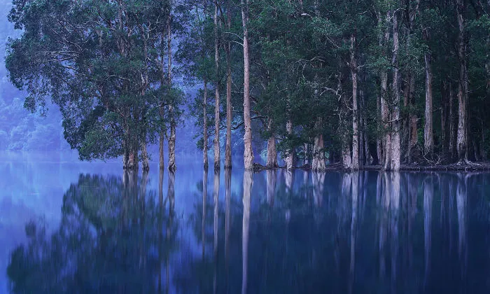You Won't Believe These 12 Photos Are Shot In One Of The World's Densest Cities