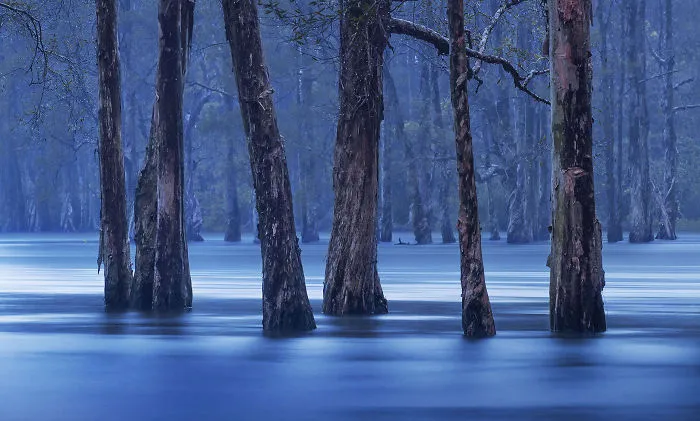 You Won't Believe These 12 Photos Are Shot In One Of The World's Densest Cities