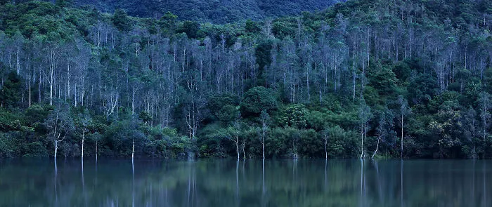 You Won't Believe These 12 Photos Are Shot In One Of The World's Densest Cities