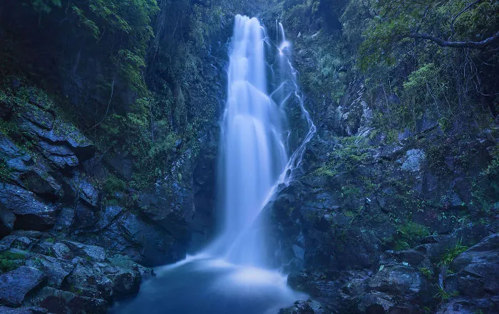 You Won't Believe These 12 Photos Are Shot In One Of The World's Densest Cities