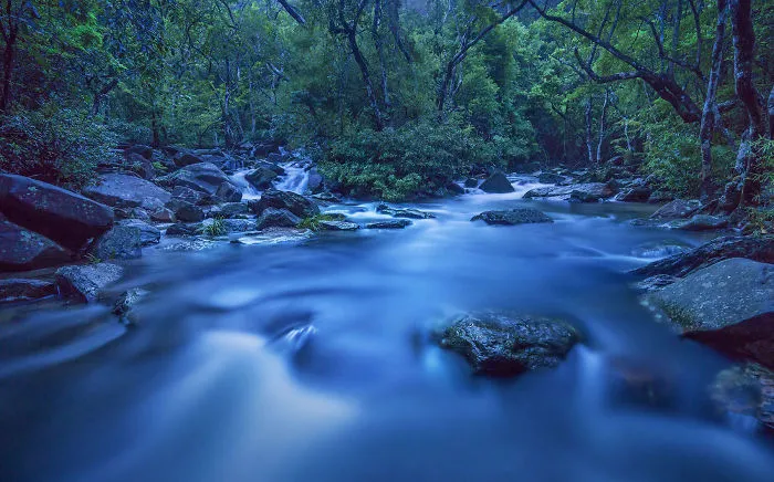You Won't Believe These 12 Photos Are Shot In One Of The World's Densest Cities