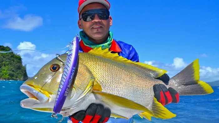How To Fish Using Stick Baits
