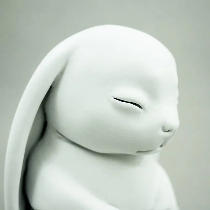 Animis