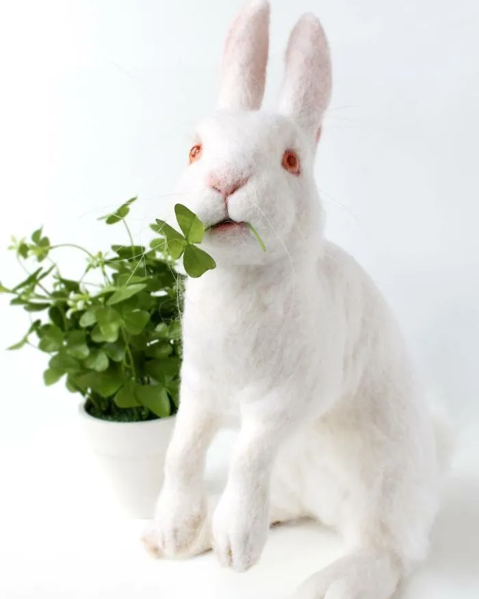 I Needle Felt Wool Sculptures Of Wildlife, Trying To Capture The Individual Character Of Each Animal (30 New Pics)