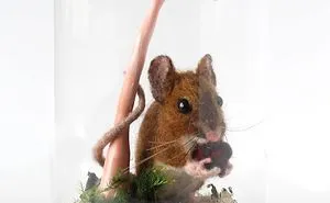 I Needle Felt Wool Sculptures Of Wildlife, Trying To Capture The Individual Character Of Each Animal (30 New Pics)