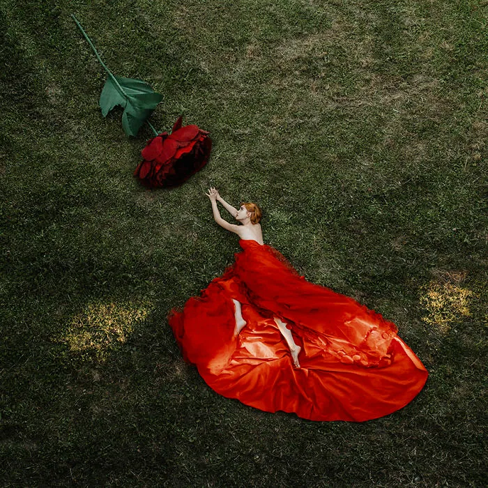 The Flower