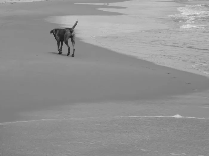I Went To Brazil On Holidays And Took Some Pictures