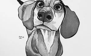 21 Dog Drawings To Give You A Smile, Inspired By A 30-Day Drawing Challenge