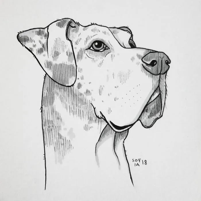 The Great Dane