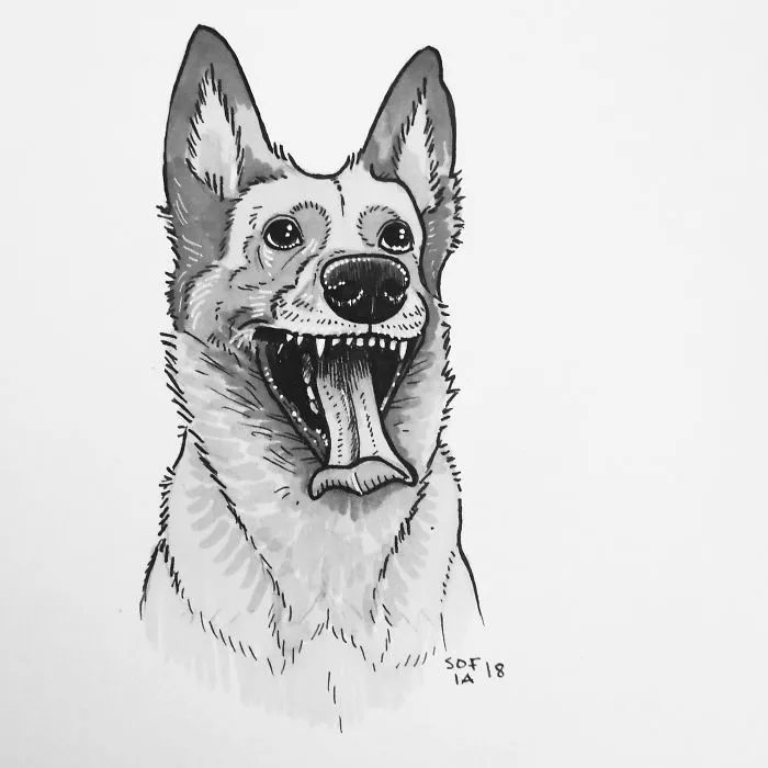 Malinois