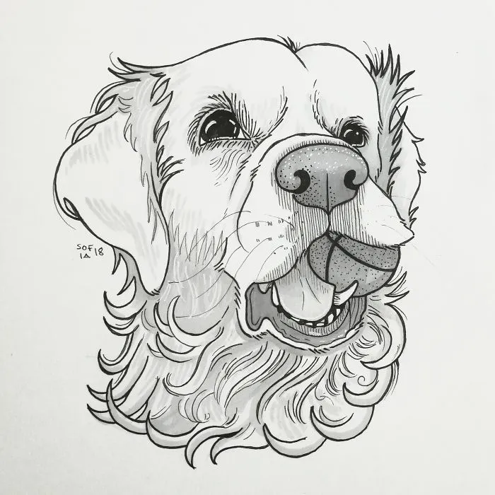 The Old Golden Retriever