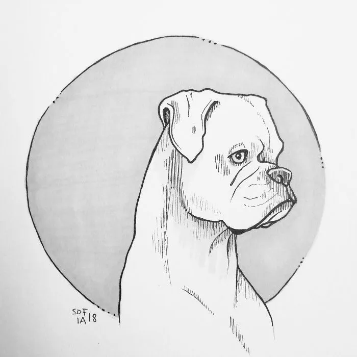 The Boxer