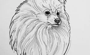 21 Dog Drawings To Give You A Smile, Inspired By A 30-Day Drawing Challenge
