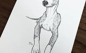 21 Dog Drawings To Give You A Smile, Inspired By A 30-Day Drawing Challenge