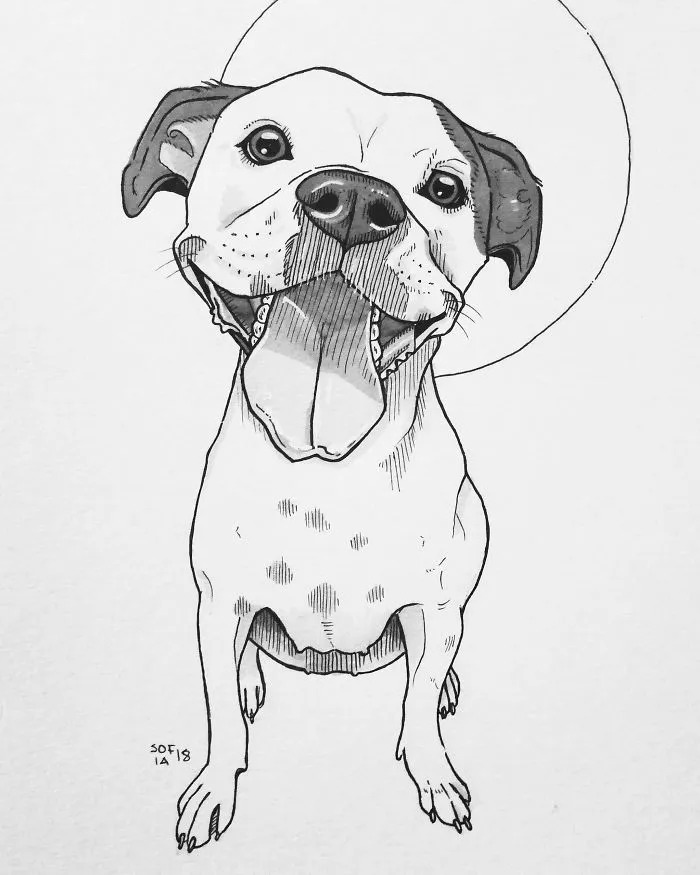 American Staffordshire Terrier Mix