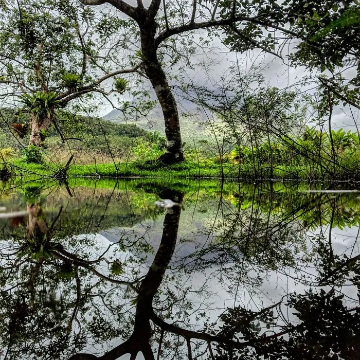 I Travel To Parallel Worlds Of Puddles With My Smartphone