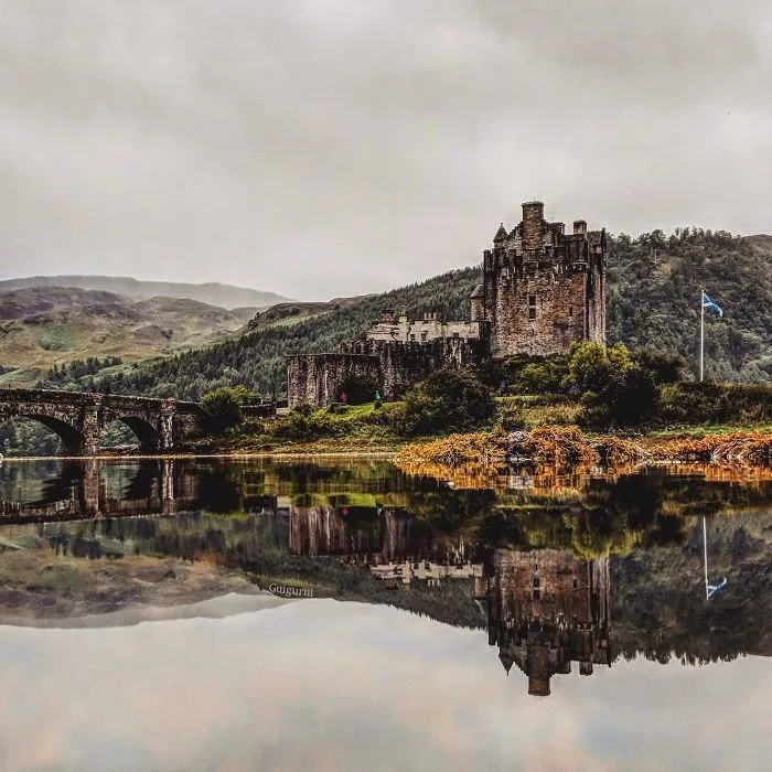 I Travel To Parallel Worlds Of Puddles With My Smartphone