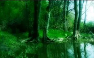 Nature In Its Uniqueness