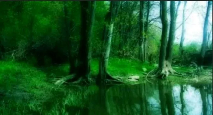 Nature In Its Uniqueness