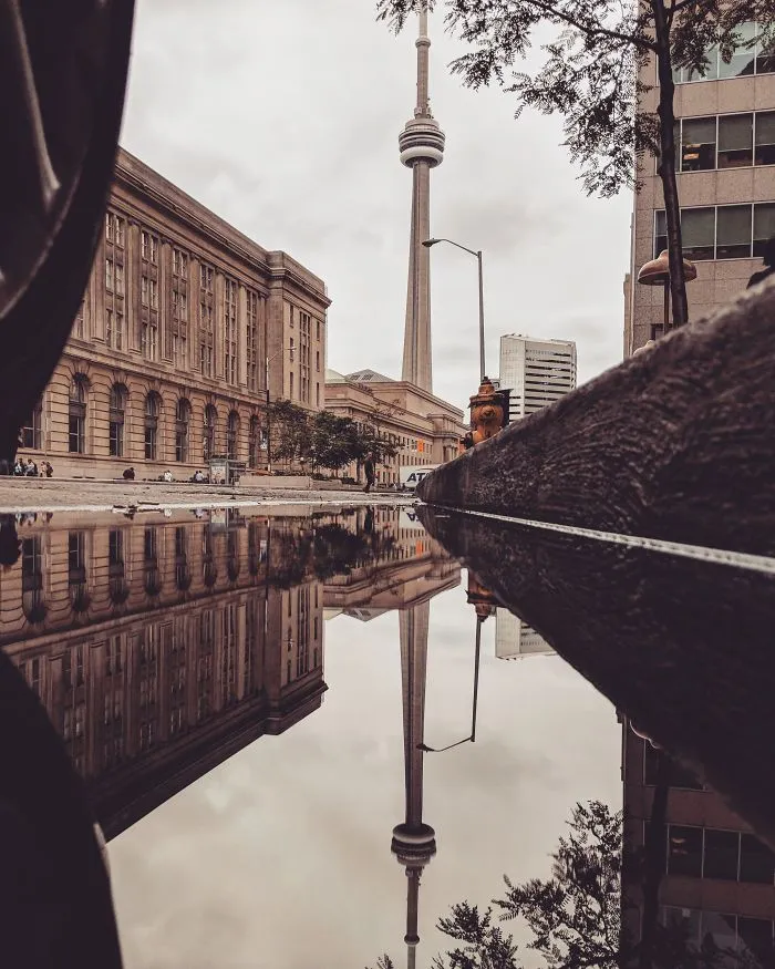 I Travel To Parallel Worlds Of Puddles With My Smartphone