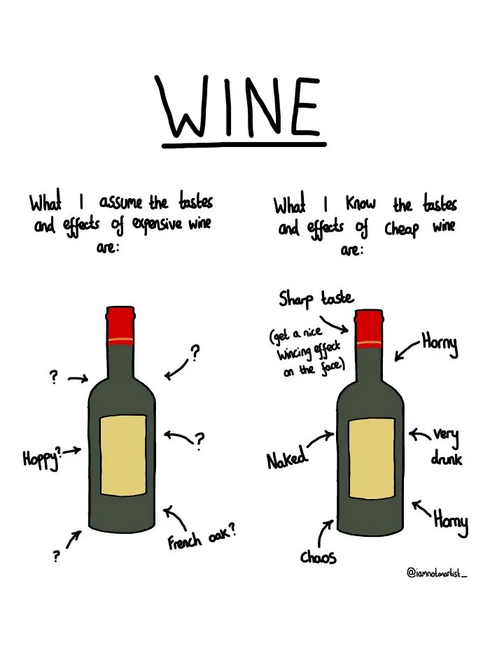 I Drew 35 Cartoons That Are Too Relevant To Anyone Who Likes Alcohol, Sex And Being An Idiot