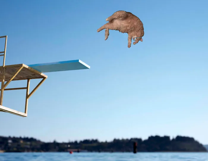 You Know Mcgyver...here Is Catdiver