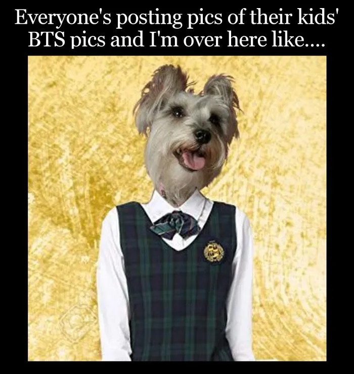 Back To School Pic Overload
