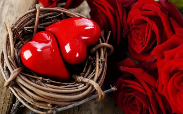 Love Nests: A New Trend Among Lovers
