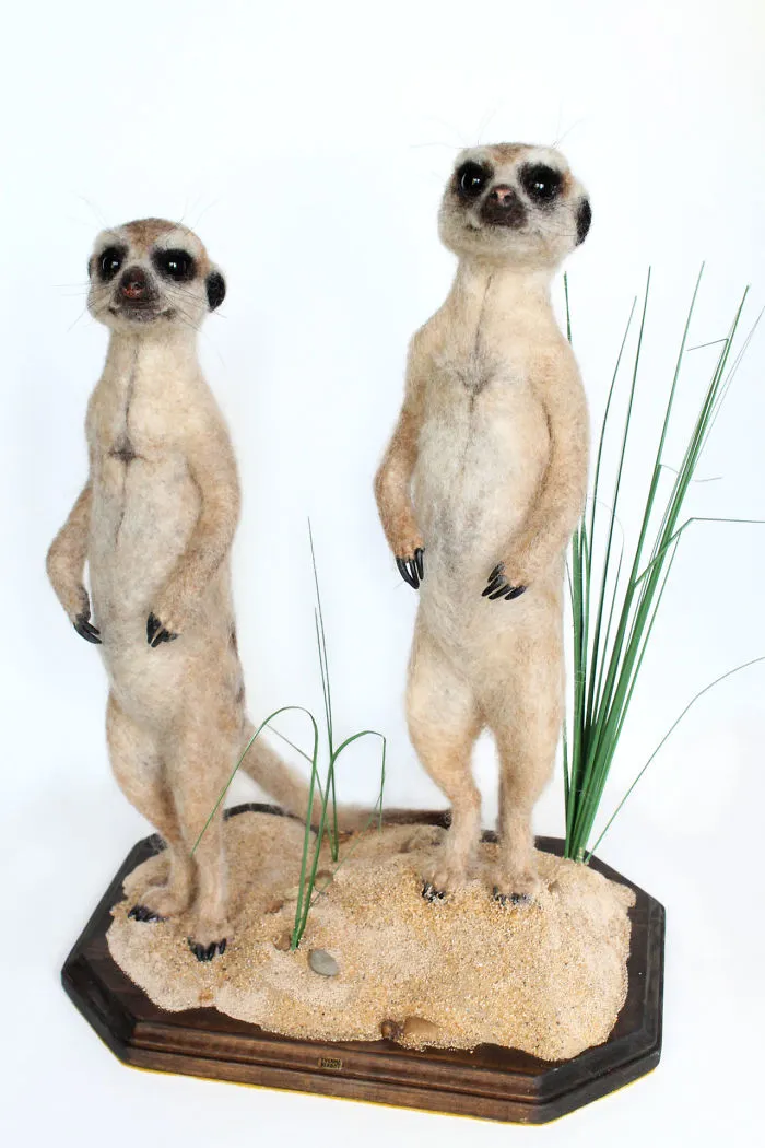 I Needle Felt Wool Sculptures Of Wildlife, Trying To Capture The Individual Character Of Each Animal (30 New Pics)