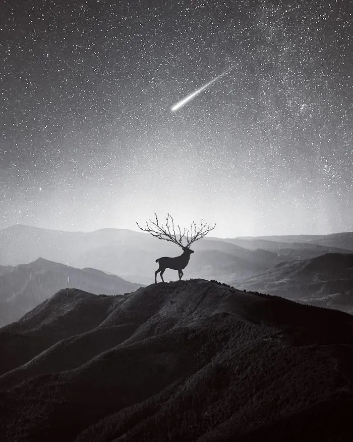 I Combine Photos In Photoshop To Make Surreal Scenes, Here's 35 Of Them