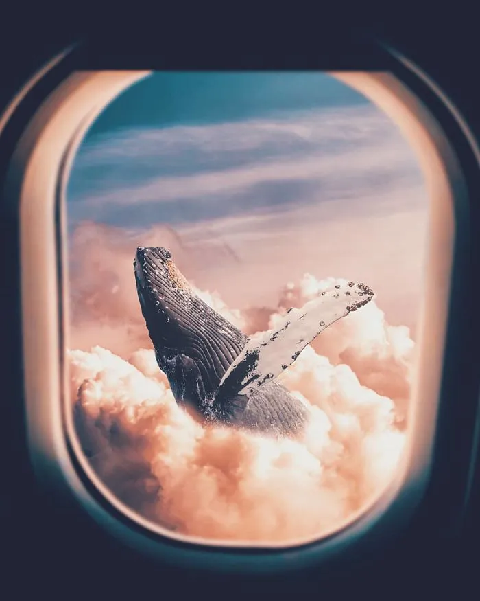 Combino fotos en Photoshop para hacer escenas surrealistas, aquí hay 35 de ellas