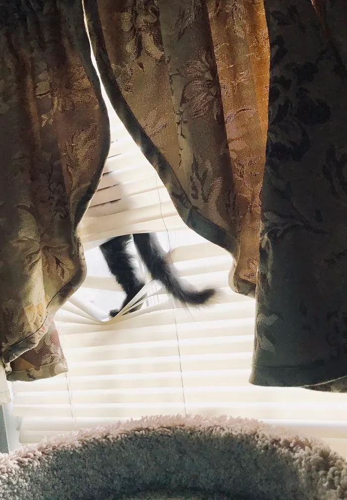 Onyx Goes Blind Surfing