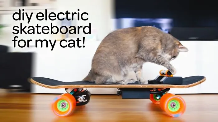 I Made An Electric Skateboard For My Cat