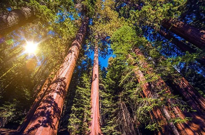 Astronomy Related Sights, Attractions Etc In Northern California