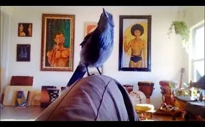 Valentino - The Story Of A Man And A Wild Blue Bird