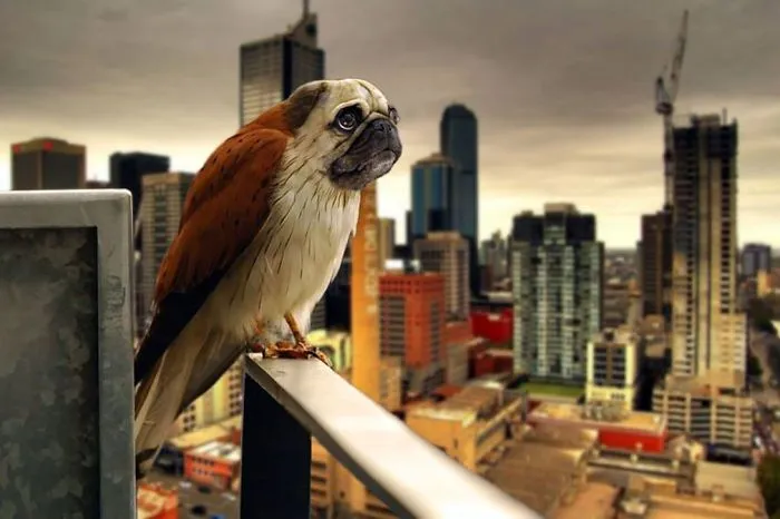 39 Unexpected Animal Hybrids That Would Be Hilarious In Real Life