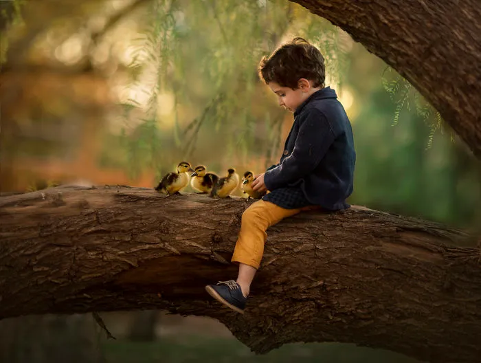 I Became A Storyteller Without Writing