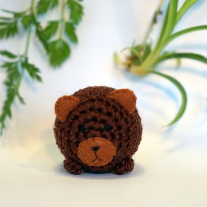 Bear